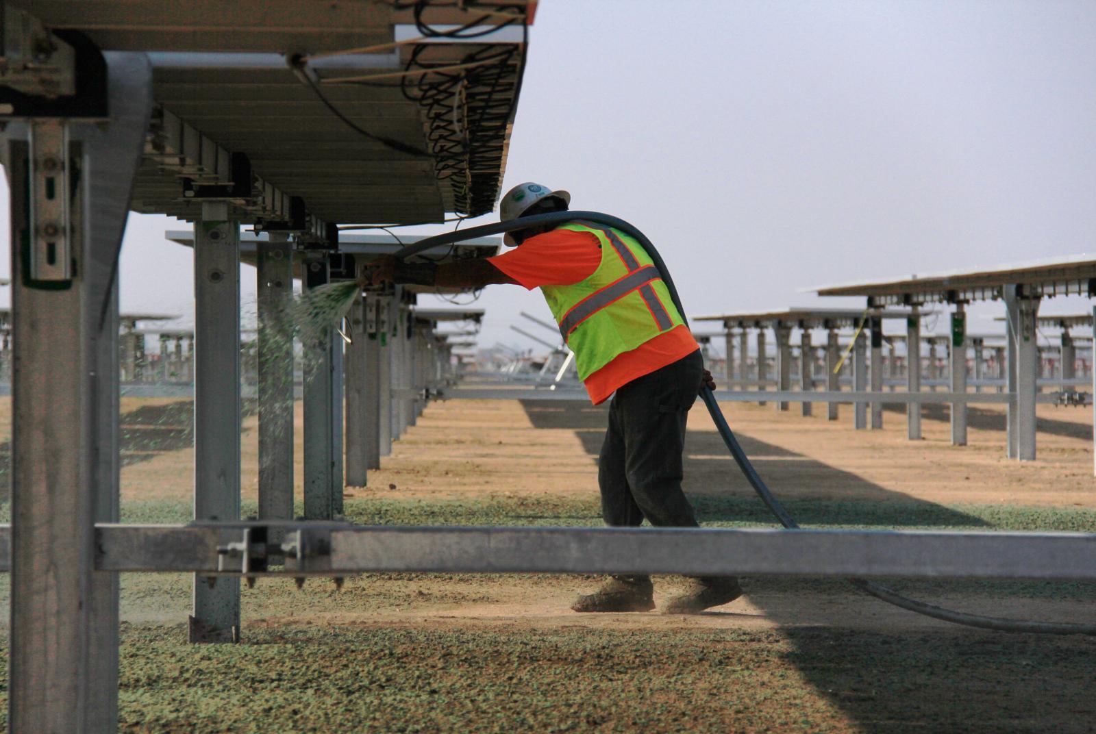 /Files/PROJECT_FILE/4e314ce2-50cb-4b06-96c0-83db57ea4807/Regulus Solar Farm.jpg